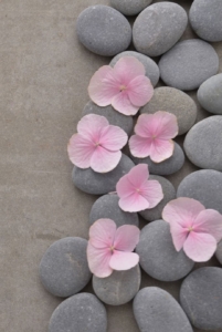 Blumen auf Steinen -Darmgesundheit